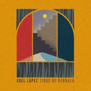 Tigre de Bengala - Xoel López