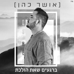 Baregaim She’at Holechet - ברגעים שאת הולכת - Osher Cohen - אושר כהן