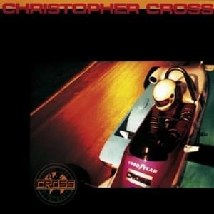 Don’t Say Goodbye - Christopher Cross