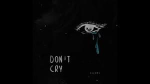 Don’t cry - ​escape (Ft. ​escape)