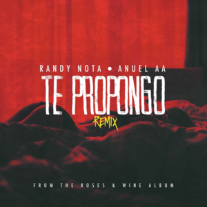 Te Propongo (Remix) - Randy (Ft. Anuel AA)