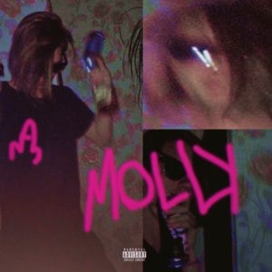 MOLLY - ​dmtboy