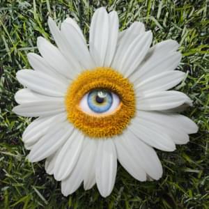 Daisies - Ryan Caraveo