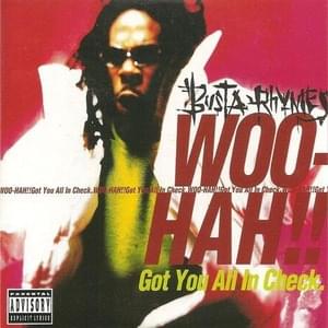 Woo-Hah!! Got You All in Check (The Jay-Dee Other Shit Remix) - Busta Rhymes