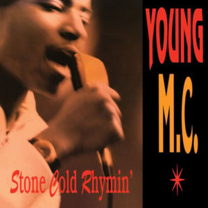 Roll with the Punches - Young MC