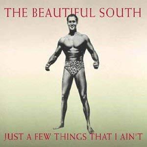 Just a Few Things That I Ain’t - The Beautiful South