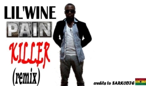 Lil’Wine_pain Killer_Remix - Lil Wine