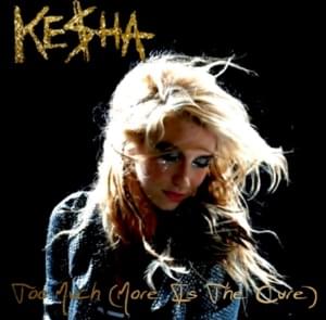 Too Much (More Is the Cure) - Kesha