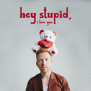 Hey Stupid, I Love You - JP Saxe