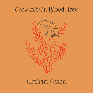 Burn It Down - Graham Coxon