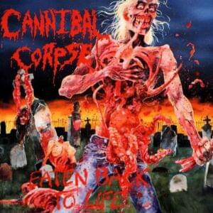 Born in a Casket - Cannibal Corpse