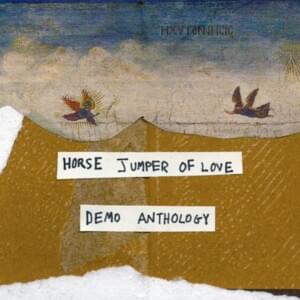 Hole - Horse Jumper of Love