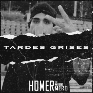 Tardes Grises - Bardero$ & Homer el Mero Mero