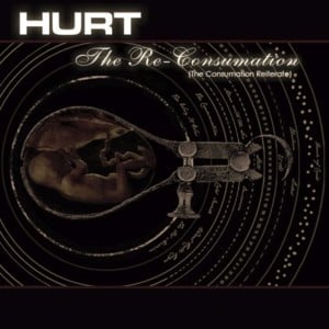 The Consumation - Hurt