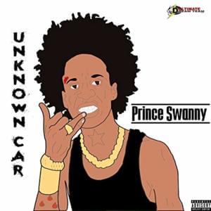 Unknown Car - Prince Swanny