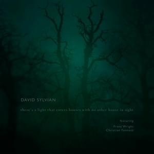 There’s a Light That Enters Houses With No Other House in Sight - David Sylvian (Ft. Fennesz & Franz Wright)