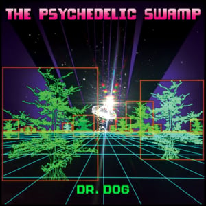 Swamp Is On - Dr. Dog