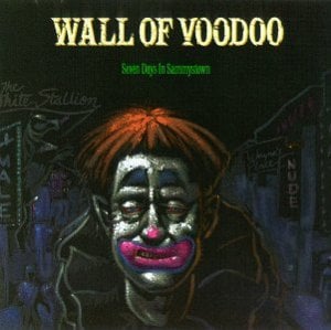 (Don’t Spill My) Courage - Wall of Voodoo