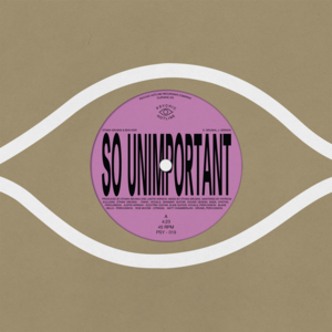 So Unimportant - Ethan Gruska (Ft. Bon Iver)