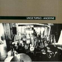 Are You Sure Hank Done It This Way? - Uncle Tupelo (Ft. Joe Ely)