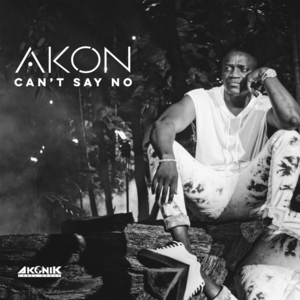 Can’t Say No - Akon