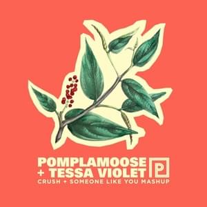 Crush + Someone Like You Mashup - Pomplamoose (Ft. Tessa Violet)