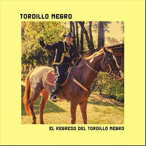 Amor Ardiente - Tordillo Negro