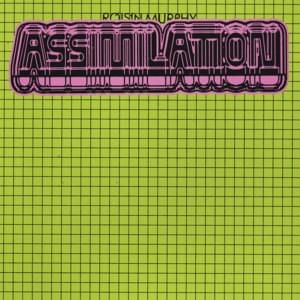 Assimilation - Róisín Murphy