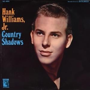 Going Steady With The Blues - Hank Williams Jr.