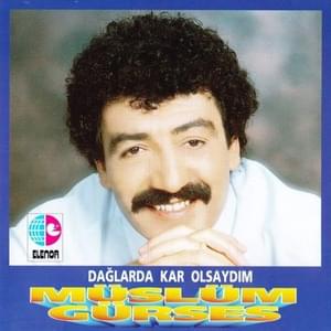 Dağlarda Kar Olsaydım - Müslüm Gürses