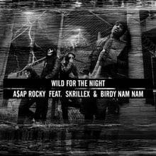 A$AP Rocky - Wild for the Night ft. Birdy Nam Nam & Skrillex (Türkçe Çeviri) - Lyrxo Türkçe Çeviri