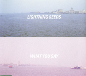 What You Say - The Lightning Seeds