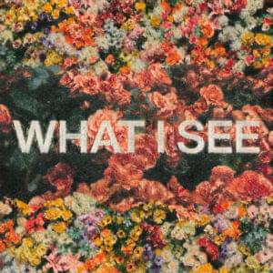 What I See - Elevation Worship (Ft. Chris Brown (Elevation))