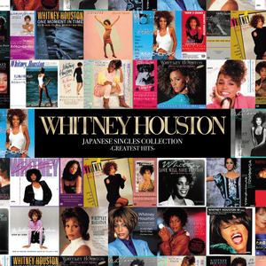 Didn’t We Almost Have It All (7" Mix) - Whitney Houston