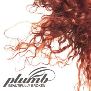 Beautifully Broken - Plumb