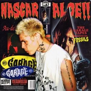 Oi - ​​​​​​nascar aloe