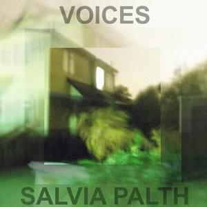 ​voice i (cold house) - ‌salvia palth