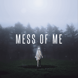 Mess of Me - Citizen Soldier