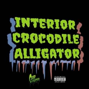 Interior Crocodile Alligator - King Chip