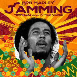 Jamming (Tropkillaz Remix) - Bob Marley & The Wailers (Ft. Tiwa Savage)