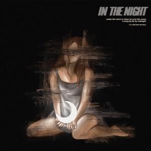 In the Night - Fly By Midnight