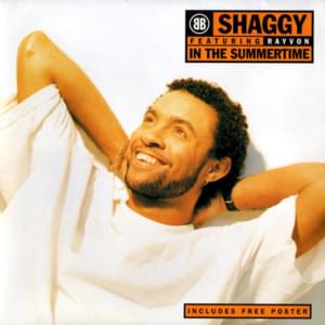 In the Summertime - Shaggy