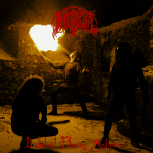 Cryptic Winterstorms - Immortal