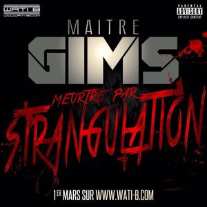 Meurtre Par Strangulation - GIMS