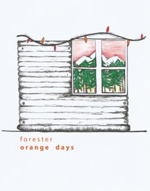 Orange Days - Forester