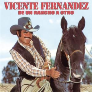 Sin papeles - Vicente Fernández