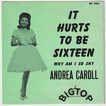 It Hurts to Be Sixteen - Andrea Carroll