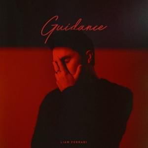 Guidance - Liam Ferrari