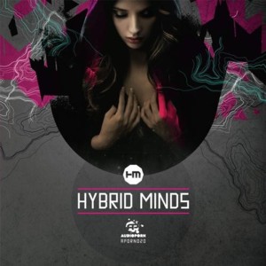 I’m through - Hybrid Minds