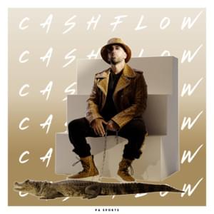 Cashflow - PA Sports